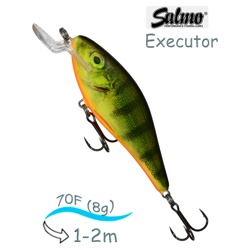 QEX009 Executor EX-070SR-RHP - фото