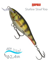 SSR09 PEHL Shallow Shad Rap - фото