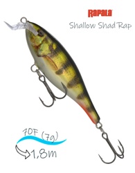 SSR07 PEHL Shallow Shad Rap - фото