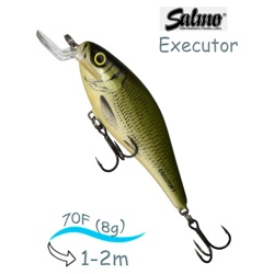 QEX099 Executor EX-070SR-OB - фото