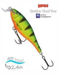 SSR09 FP Shallow Shad Rap - фото