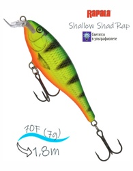 SSR07 FP Shallow Shad Rap - фото