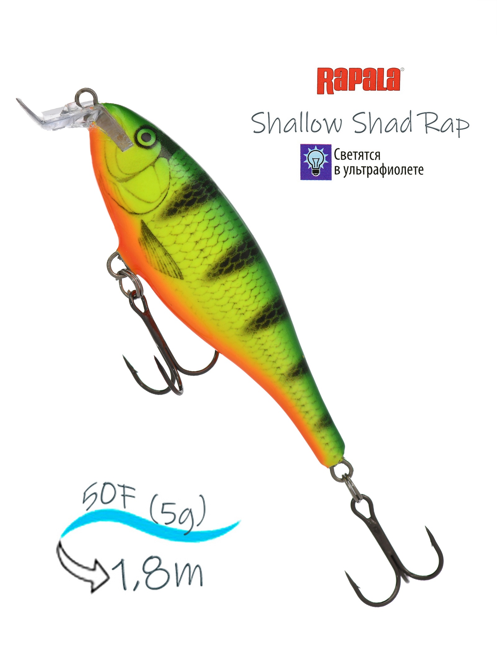 SSR05 FP Shallow Shad Rap
