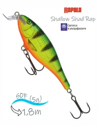 SSR05 FP Shallow Shad Rap - фото