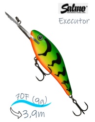 QEX051 Executor EX-070SD-GRT - фото