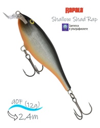 SSR09 HLW Shallow Shad Rap - фото