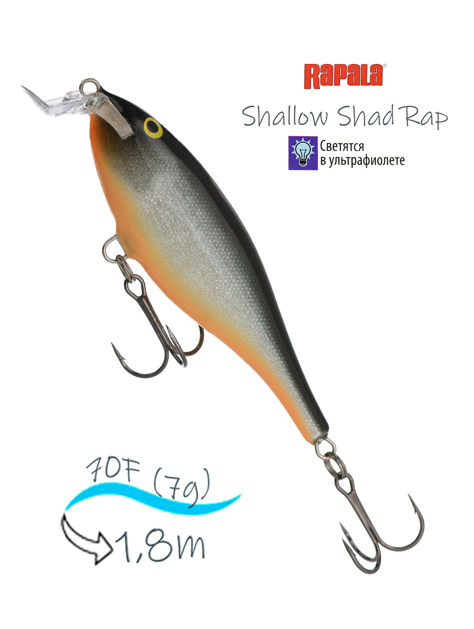 SSR07 HLW Shallow Shad Rap