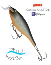 SSR07 HLW Shallow Shad Rap - фото