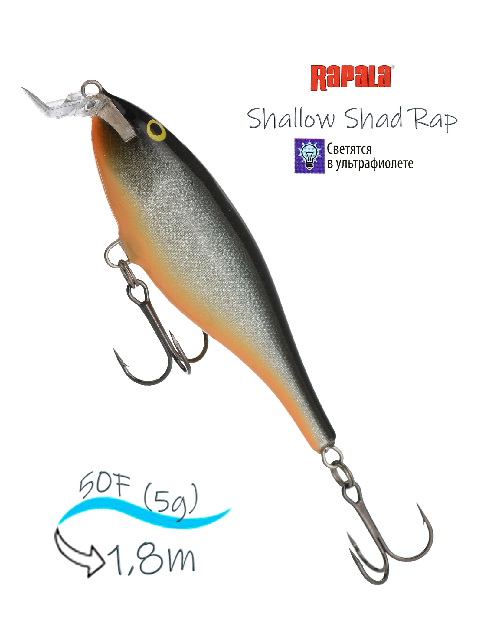 SSR05 HLW Shallow Shad Rap