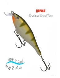 SSR09 YP Shallow Shad Rap - фото