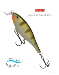 SSR07 YP Shallow Shad Rap - фото