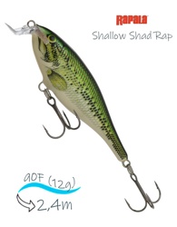 SSR09 BB Shallow Shad Rap - фото