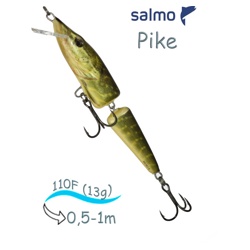 QPE008 Pike PE-110JF-RPE- фото