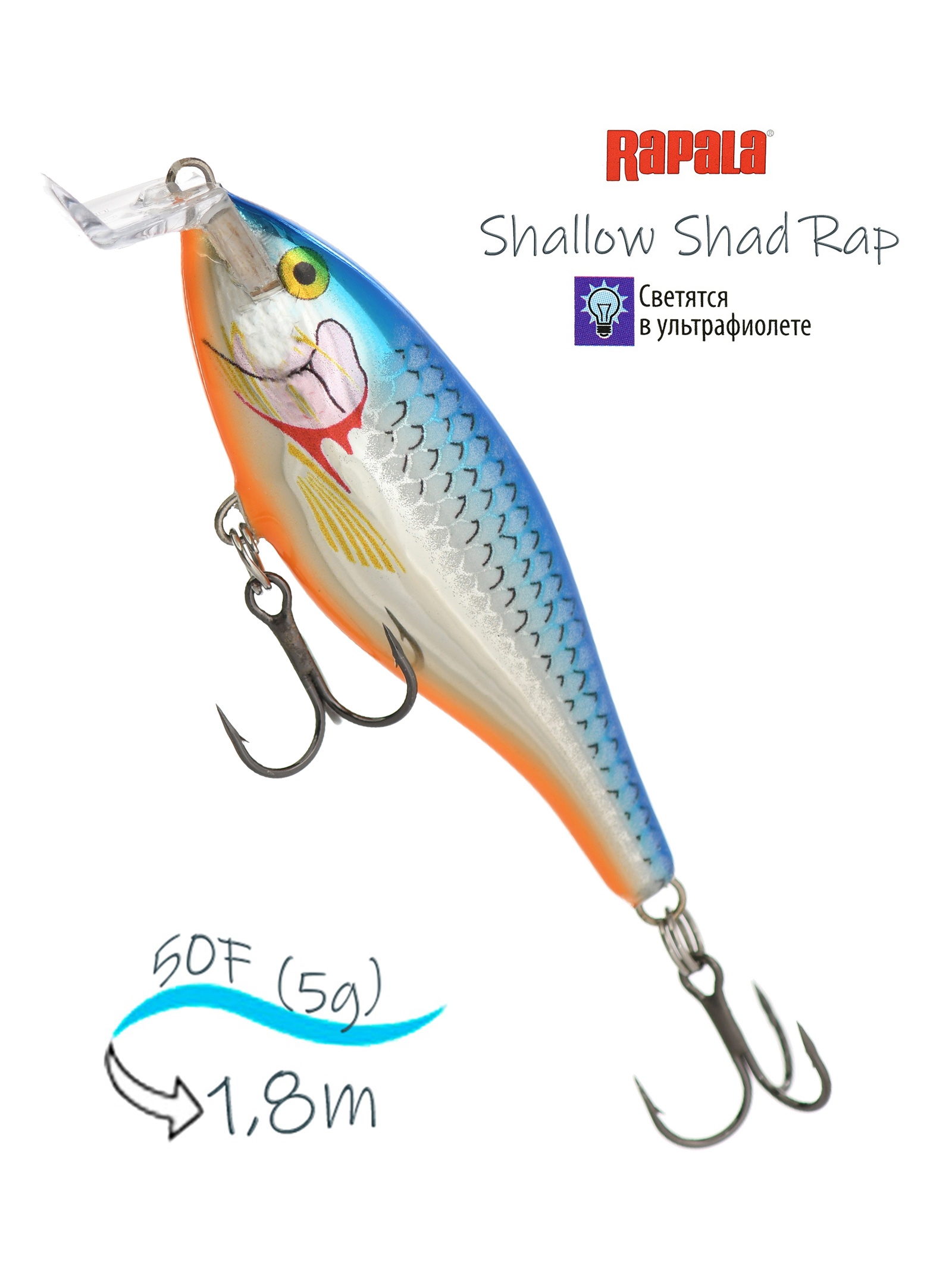 SSR05 SB Shallow Shad Rap