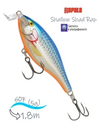 SSR05 SB Shallow Shad Rap - фото