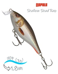 SSR07 ROHL Shallow Shad Rap - фото