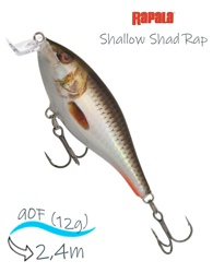 SSR09 ROHL Shallow Shad Rap - фото