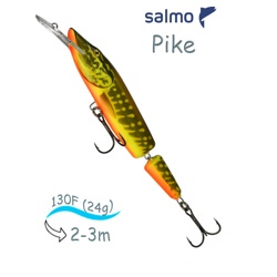 QPE001 Pike PE-130JD-HPE- фото