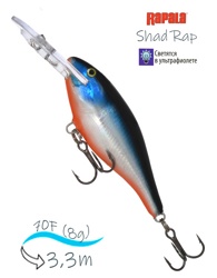 SR07 BGHH Shad Rap - фото