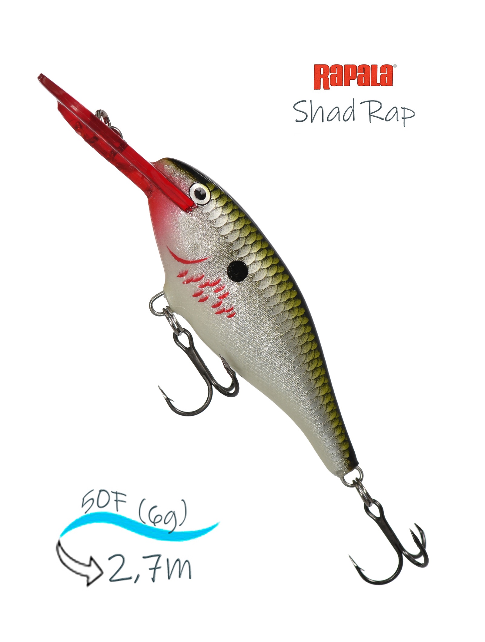 SR05 BOF Shad Rap