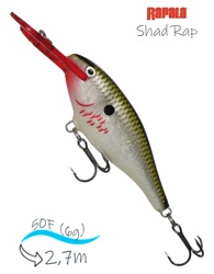 SR05 BOF Shad Rap - фото