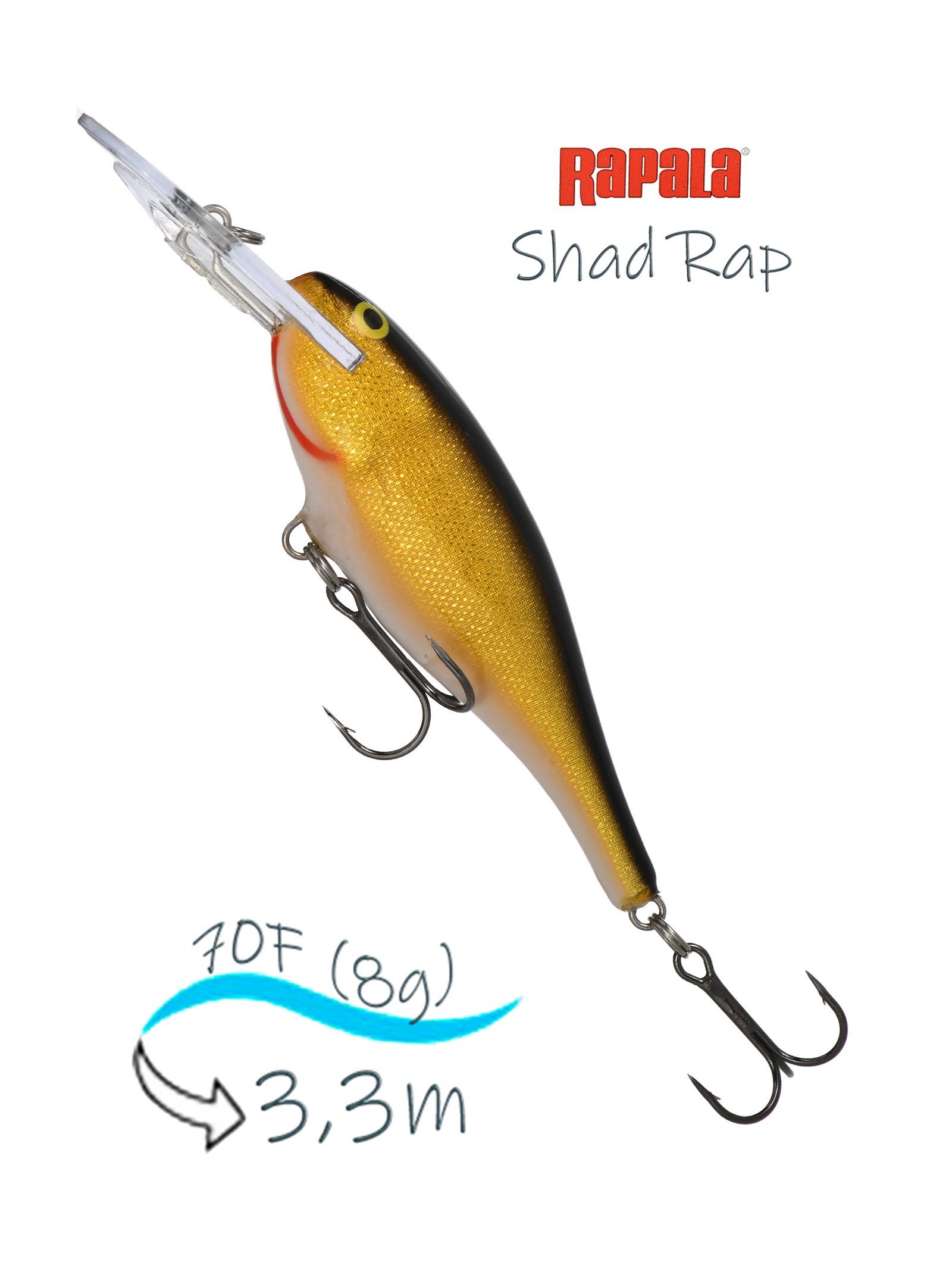 SR07 G Shad Rap - фото