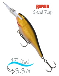 SR07 G Shad Rap - фото