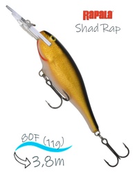 SR08 G Shad Rap - фото