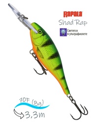 SR07 FP Shad Rap - фото