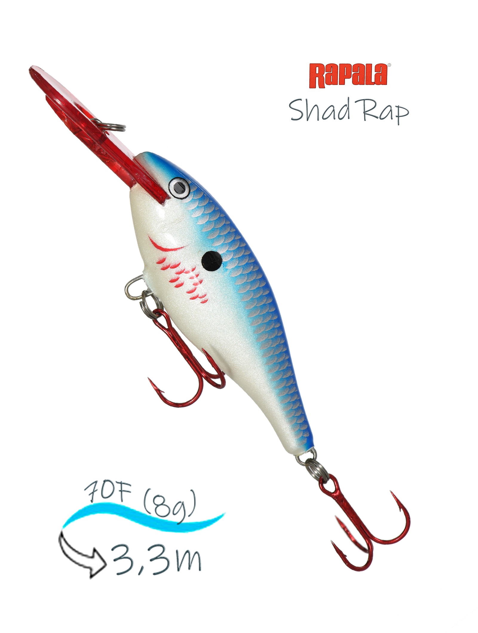 SR07 BBSD Shad Rap