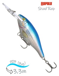 SR07 HBSH Shad Rap - фото