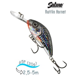 QRH015 Rattlin Hornet RH-065FL-SHS - фото