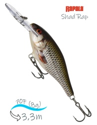 SR07 ROL Shad Rap - фото