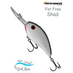 BD7 FESP Fat Free Shad - фото