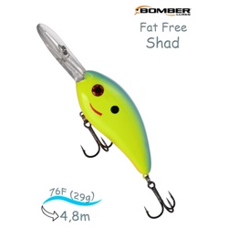BD7 FCHBL Fat Free Shad . - фото
