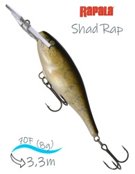 SR07 W Shad Rap - фото