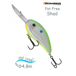 BD7 FDCS Fat Free Shad - фото