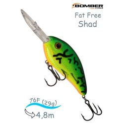 BD7 FDFT Fat Free Shad - фото