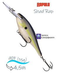SR09 HSD Shad Rap - фото
