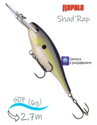 SR05 HSD Shad Rap - фото