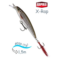 XR08 ROL X-Rap - фото