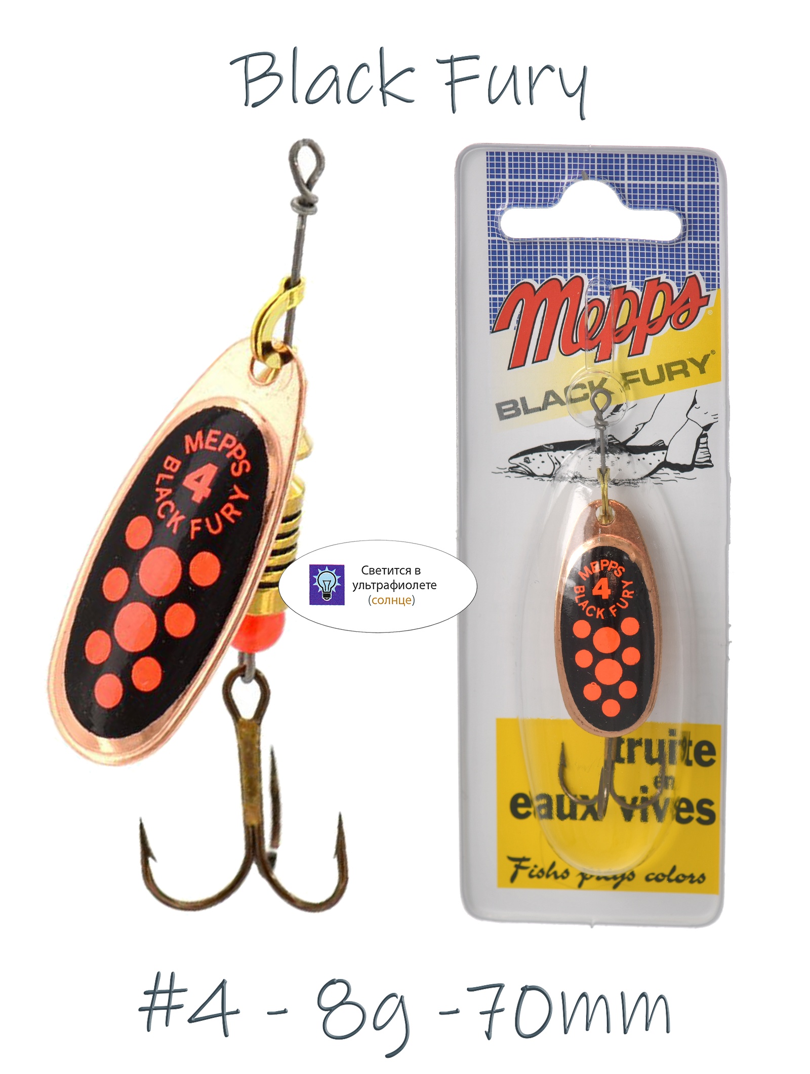Blister Black Fury 4 Copper-Orange