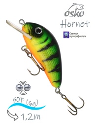 OFH05-75 Hornet - фото