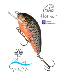 OFH05-86 Hornet - фото