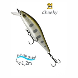 Cheeky 80F-SR 304 - фото