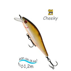 Cheeky 80F-SR 417 - фото