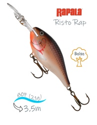 RR08-PSD Risto Rap - фото