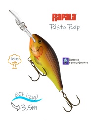 RR08-HM Risto Rap - фото