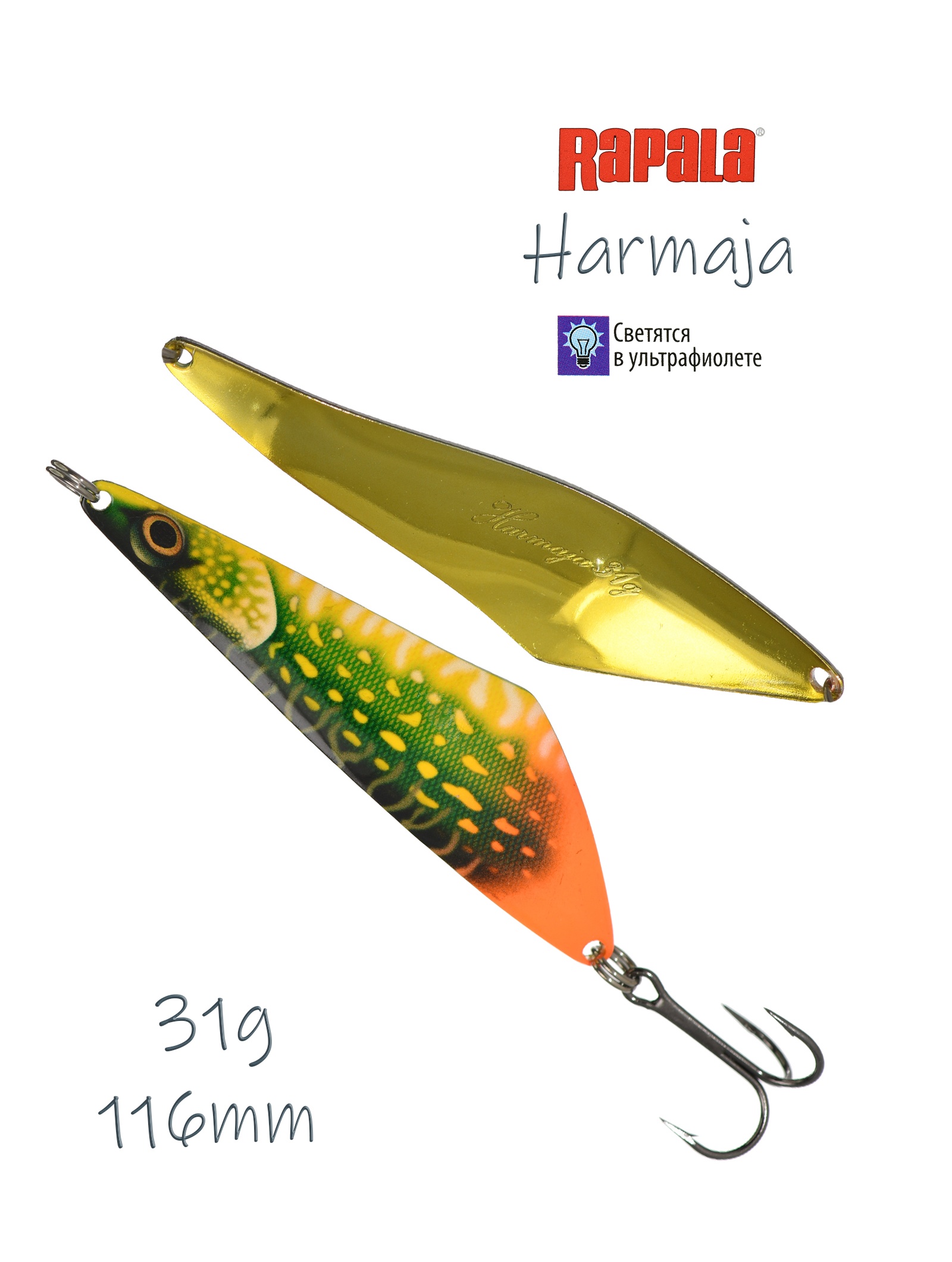 Harmaja 31 PKL
