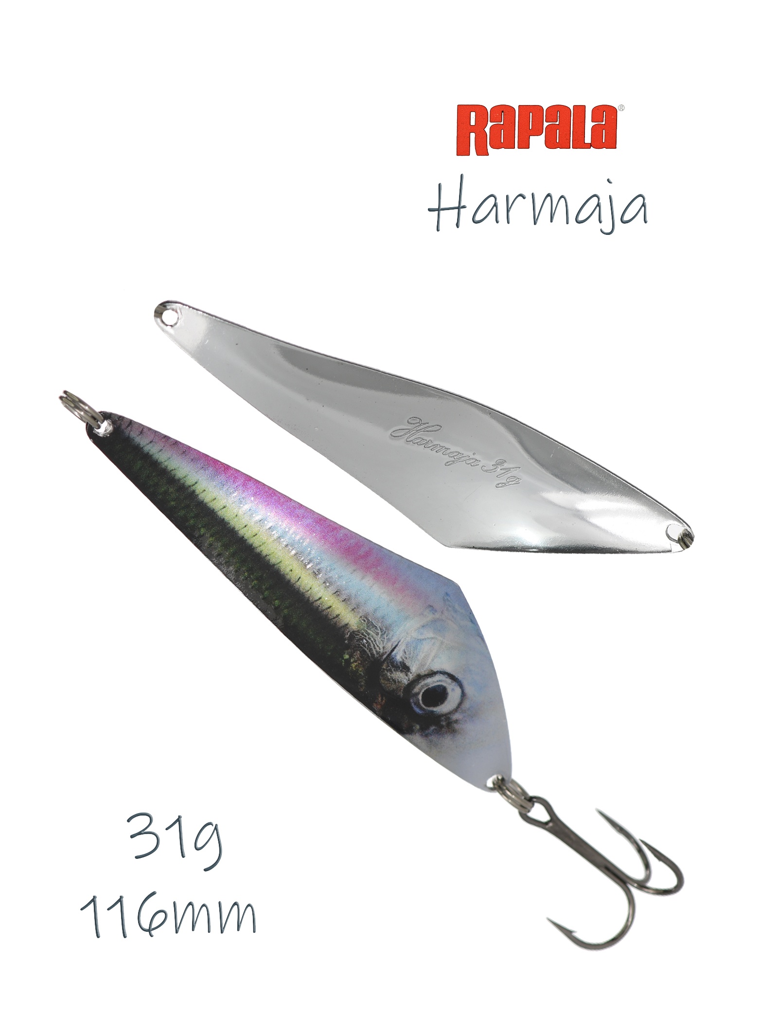Harmaja 31 HRL